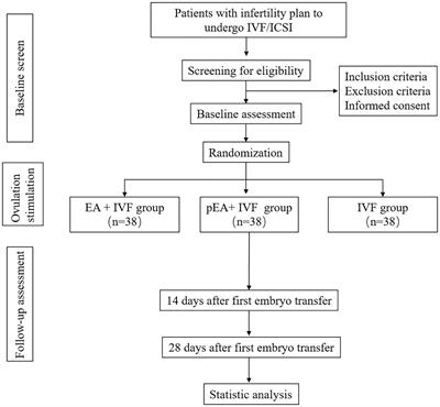 Efficacy of electro-acupuncture on pregnancy outcomes for women undergoing in vitro fertilization: study protocol for a pilot randomized controlled trial